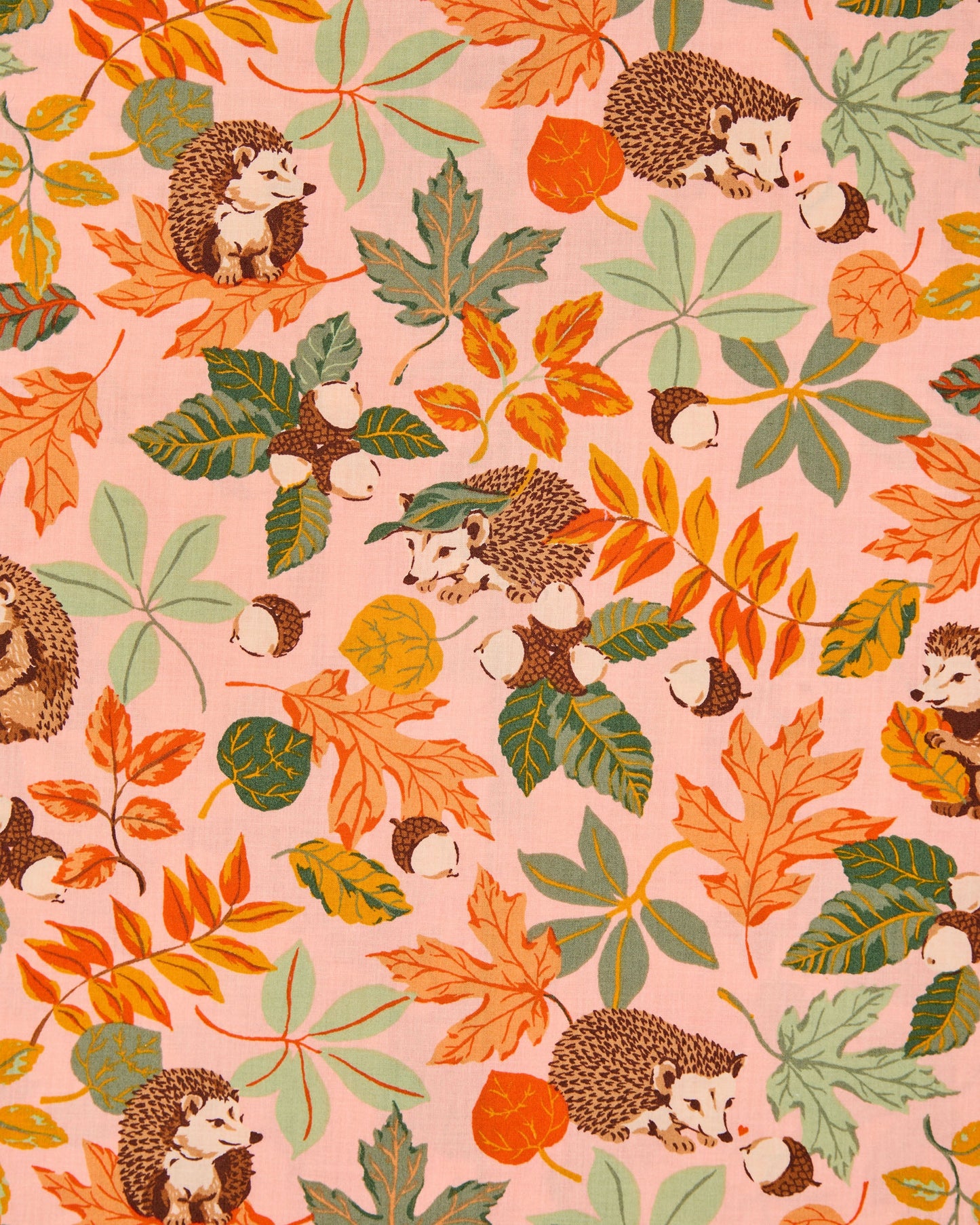 Hedgehog Forest Short Set