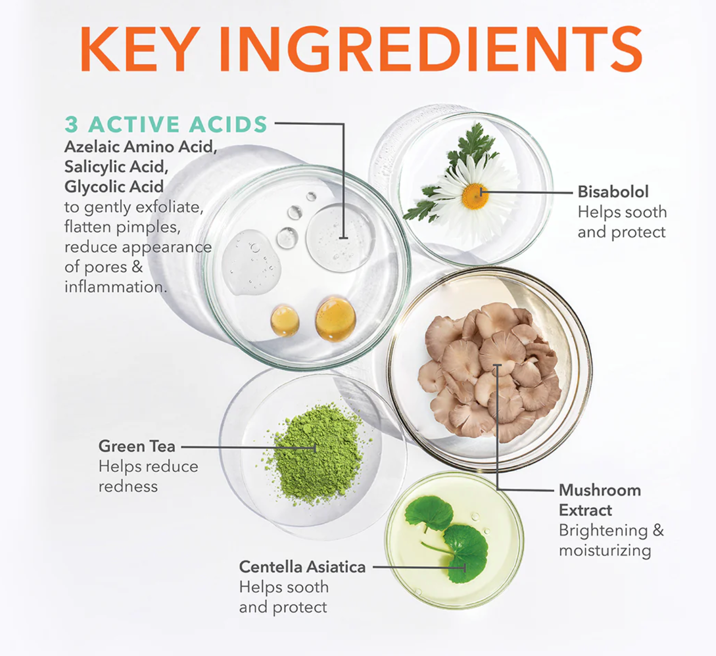 On the Spot Eliminator