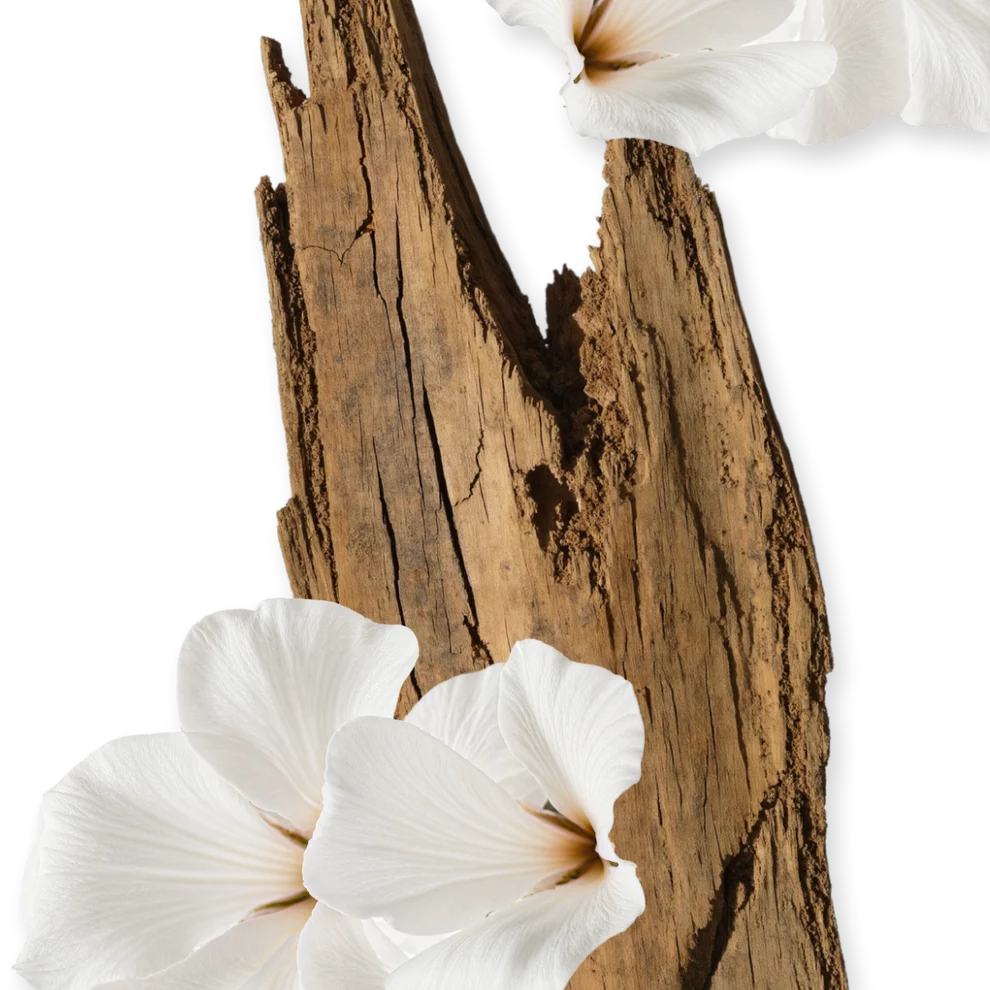 Valaya Body Cream