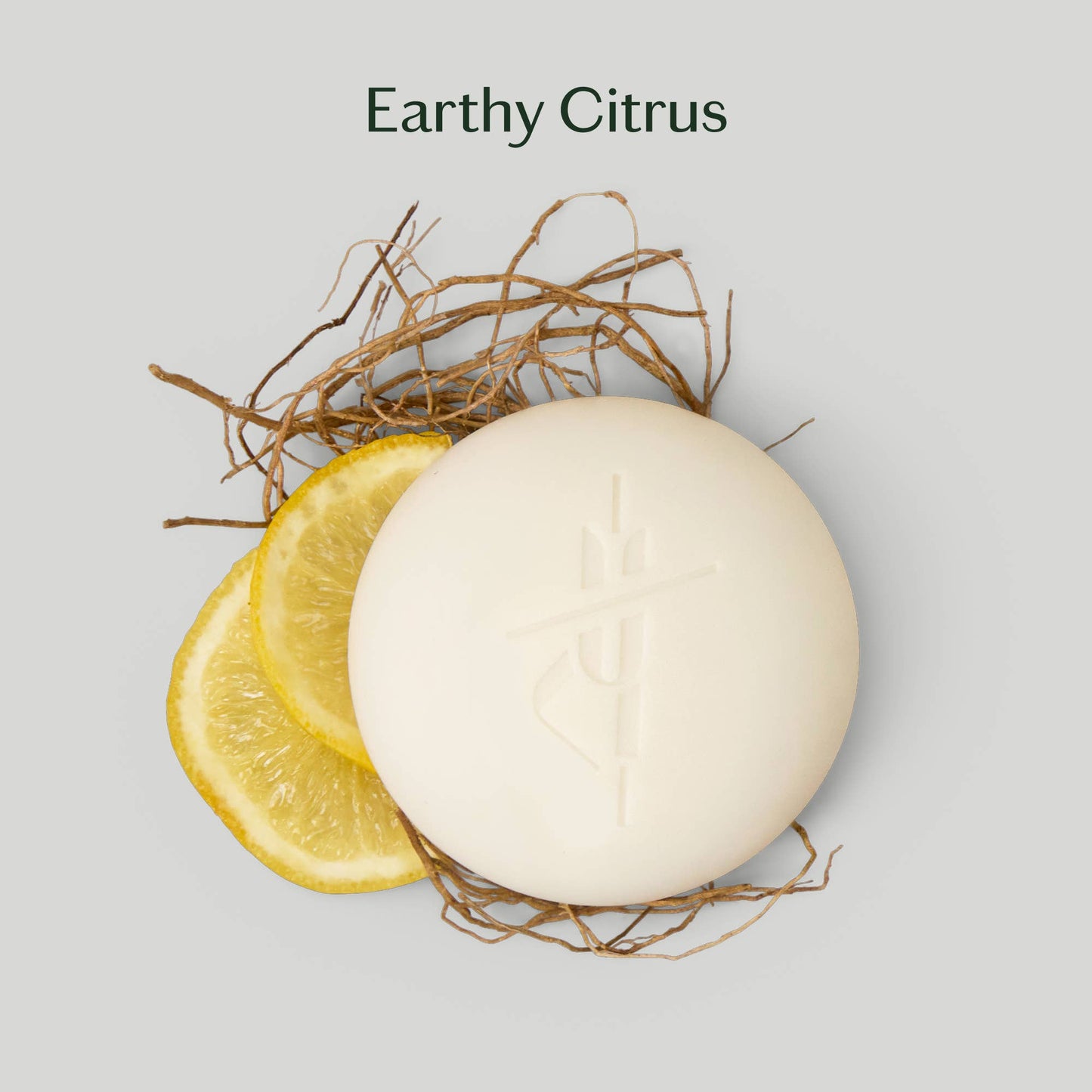 Grounding Stone Lotion Bar Full Size