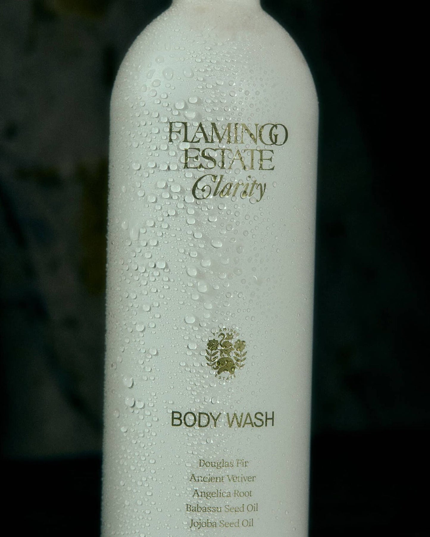 Clarity Body Wash