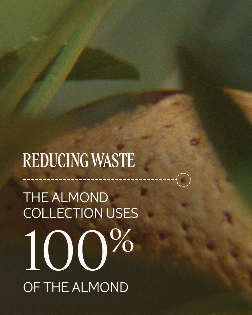 Almond Delicious Paste