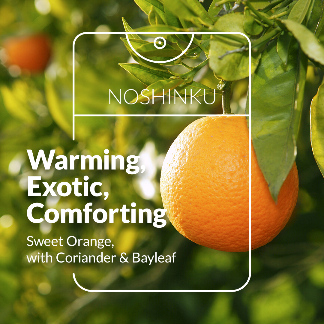 Orange Coriander Hand Sanitizer