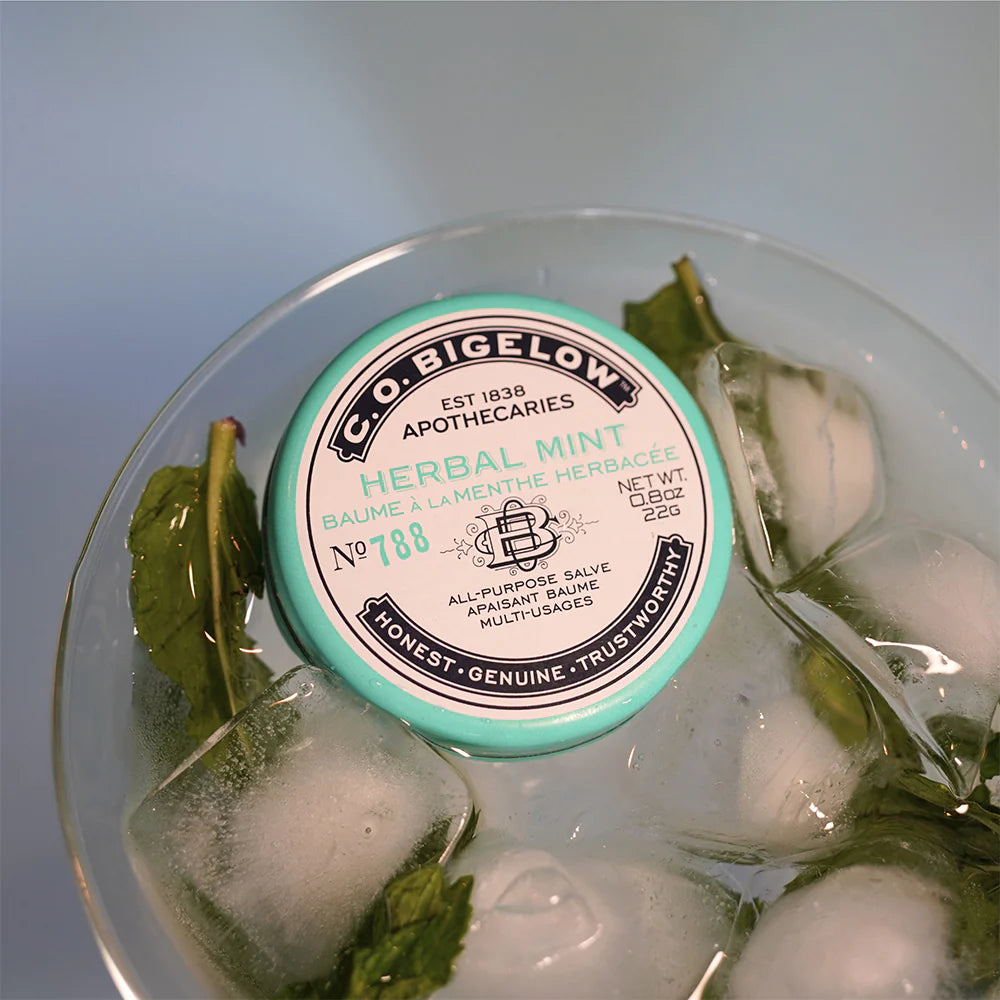 Herbal Mint Salve Lip Tin