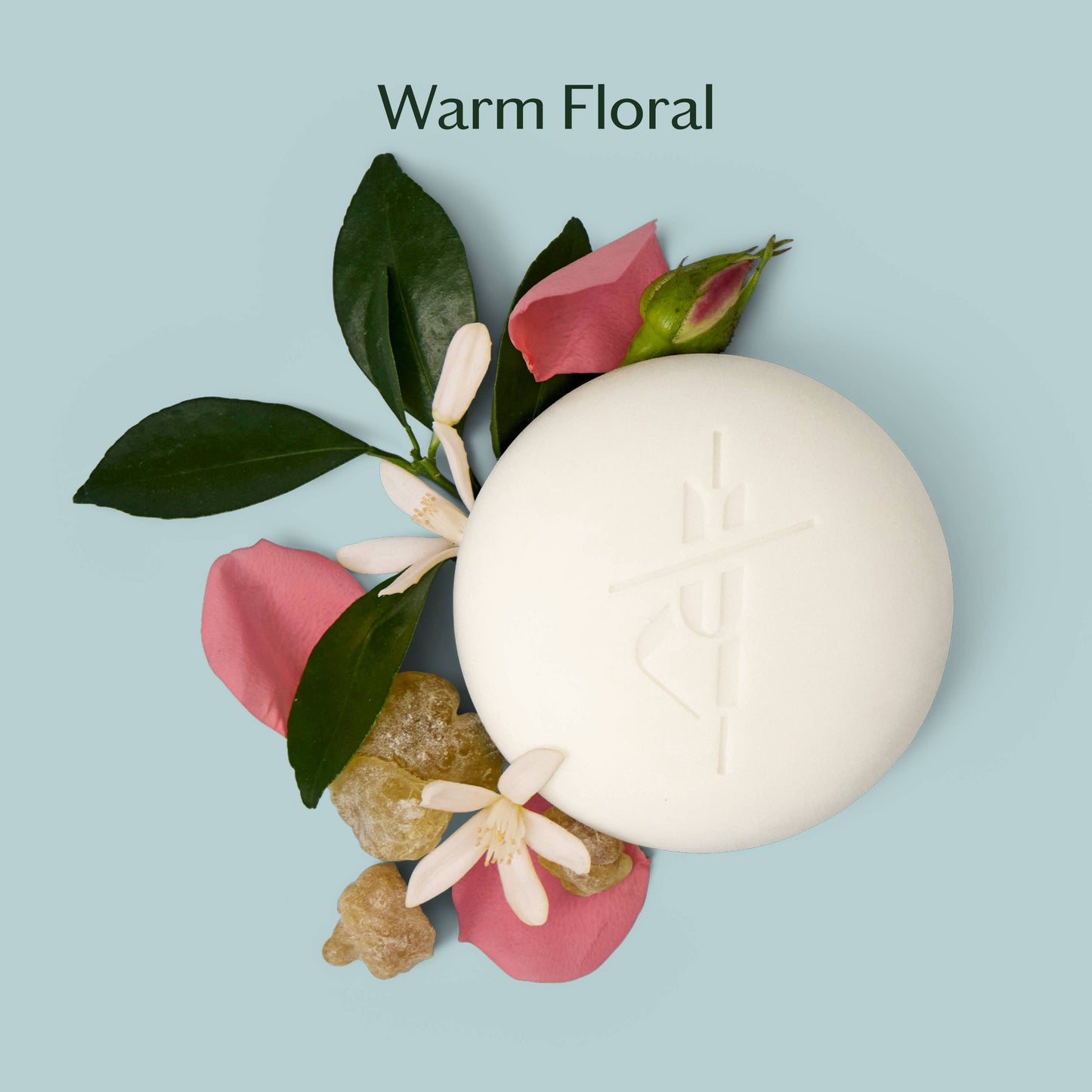 Daily Stone | Deep Moisturizing Lotion Bar: Mini (1 oz)
