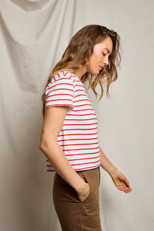 everett tomato stripe