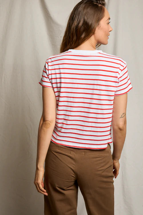 everett tomato stripe