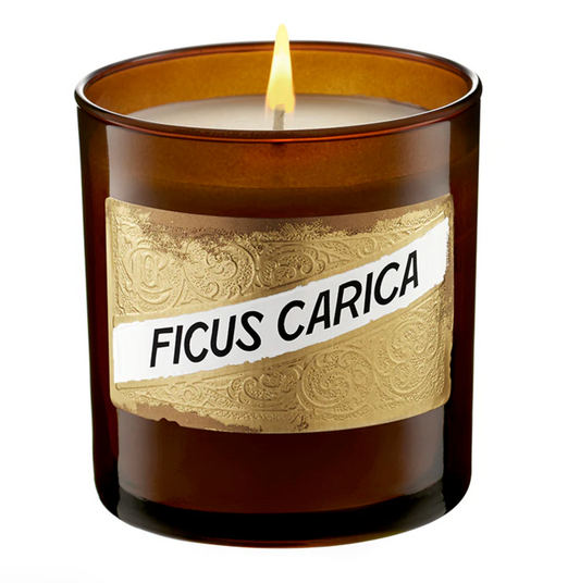 Ficus Carica Candle