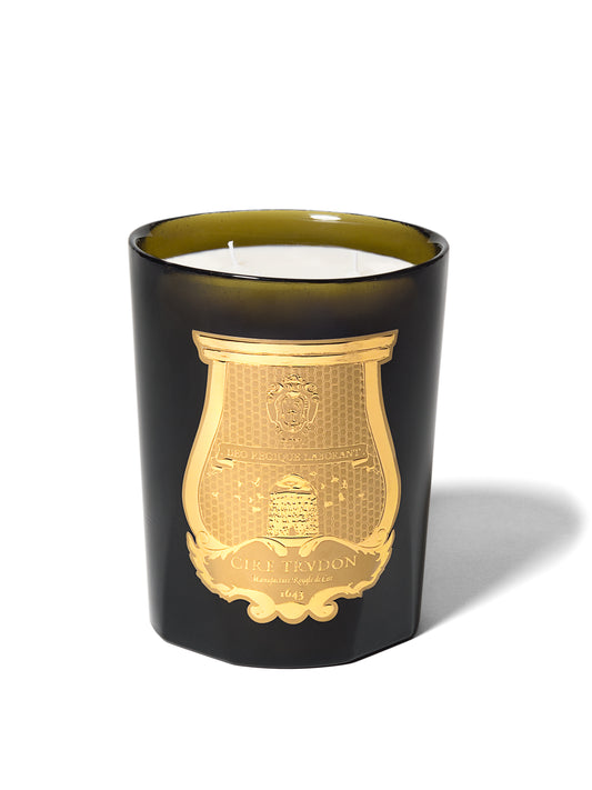 TRUDON GABRIEL Gourmand Chimney Fire